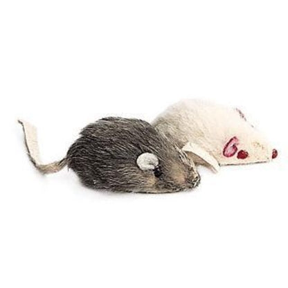 Smooth Fur Mouse