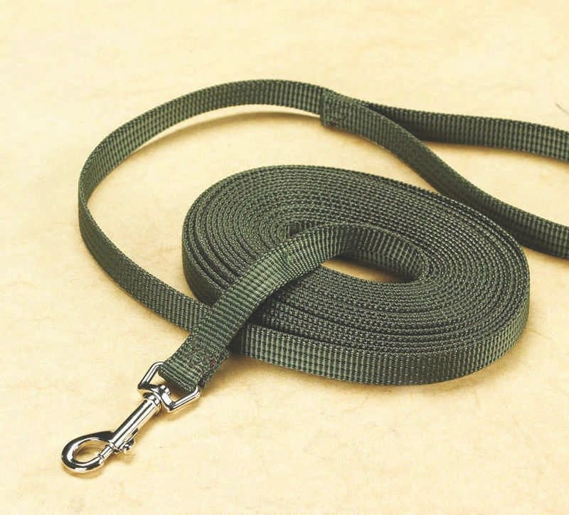 Training Lead For Dogs