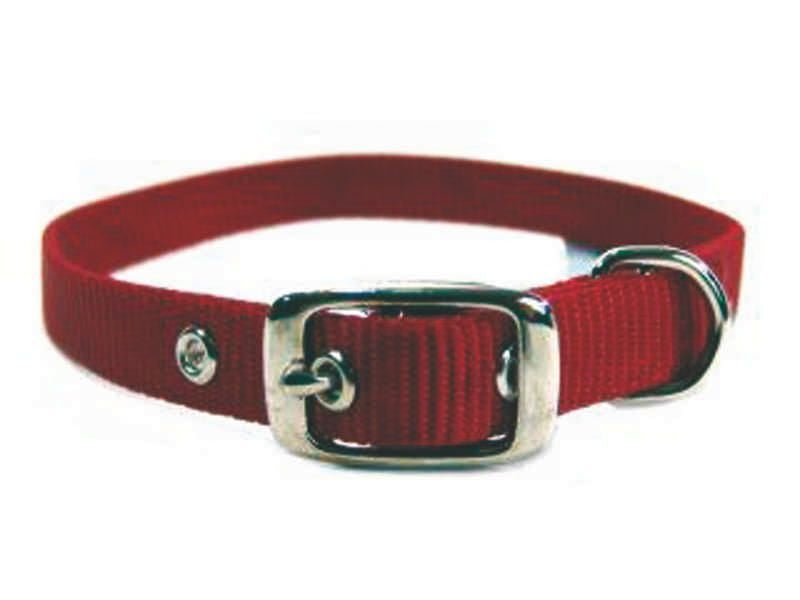 Single Nylon Dog Collar