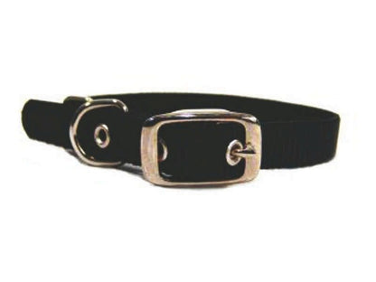 Single Nylon Dog Collar