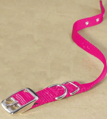Single Nylon Dog Collar