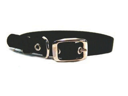 Single Nylon Dog Collar