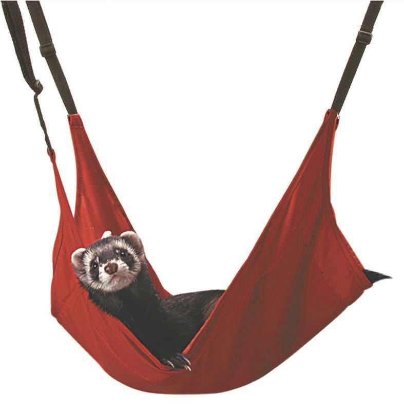 Leisure Lounge For Ferrets