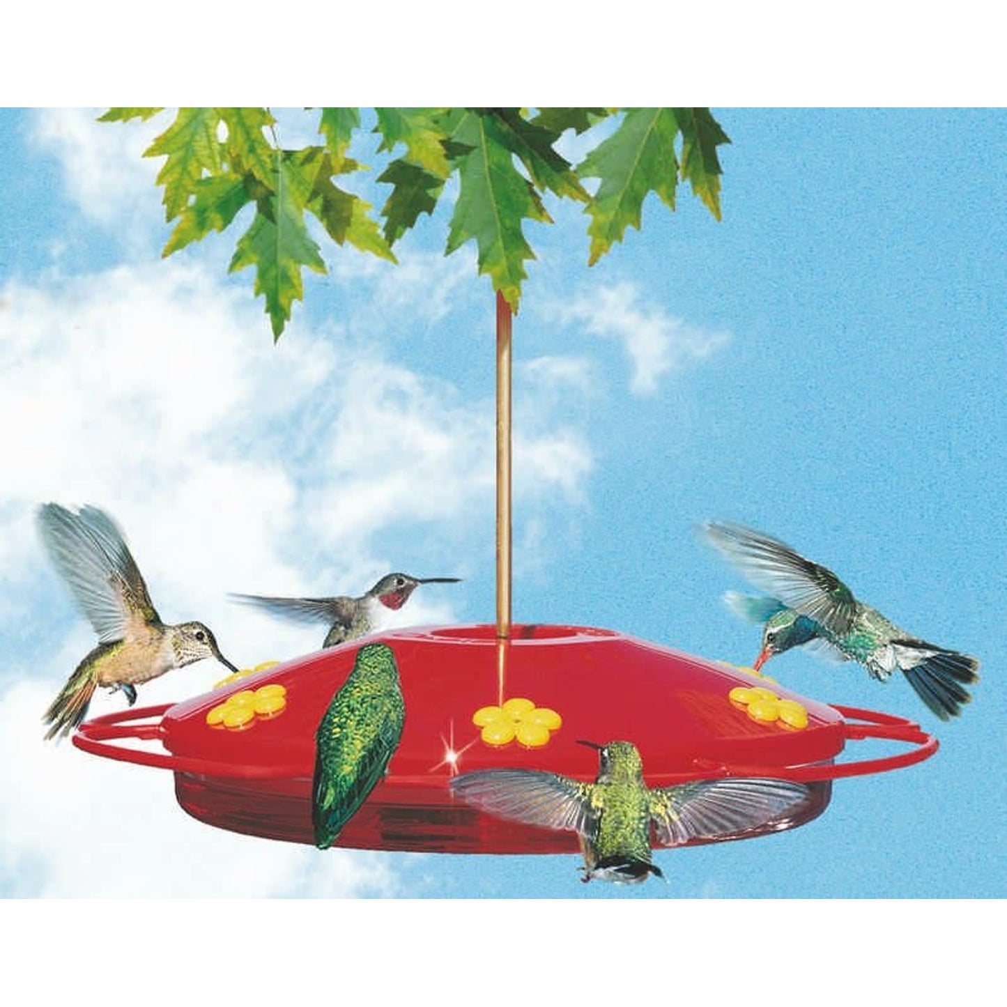 Hummingbird Oasis Feeder