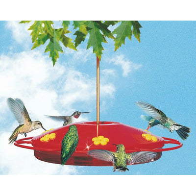 Hummingbird Oasis Feeder