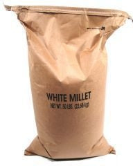 White Millet Food For Birds