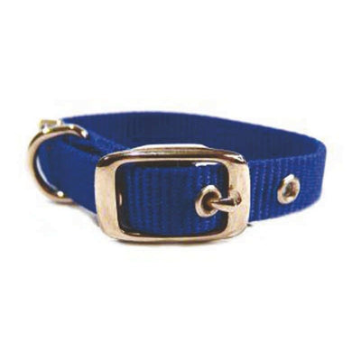 Nylon Dog Collar