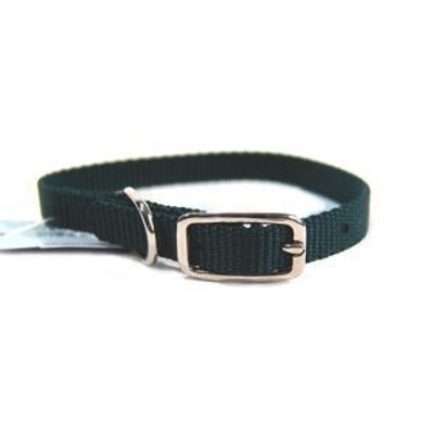 Nylon Dog Collar with Buckle