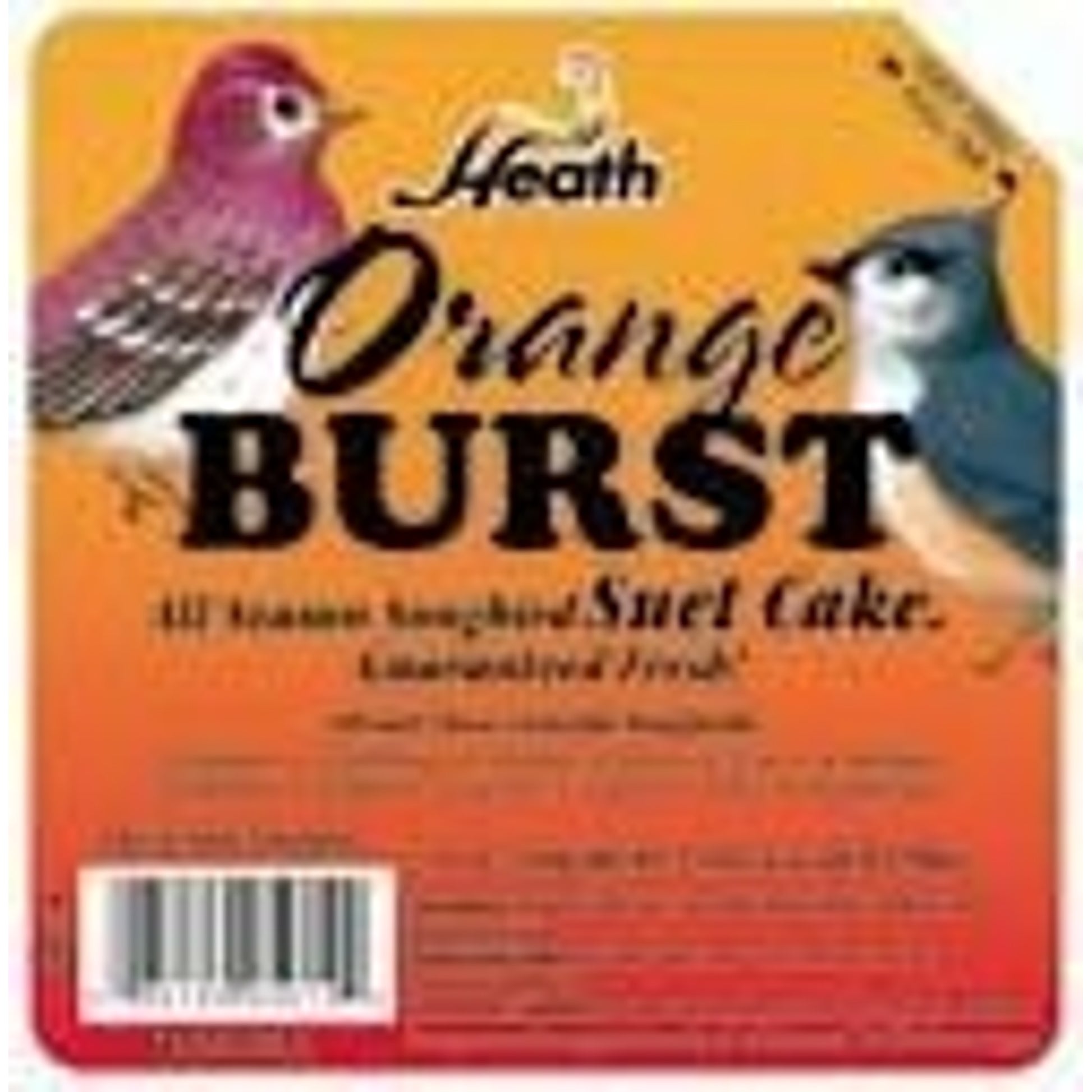 Orange Burst Suet Food For Wildbirds