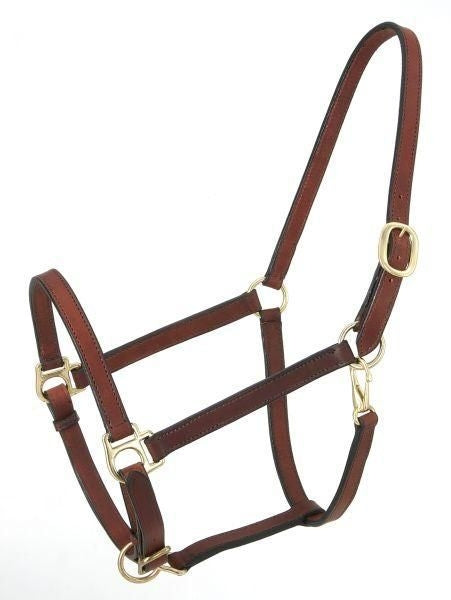 Royal King Narrow Leather Track Halter– HorseLoverZ