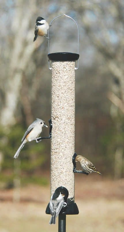 Onyx Clever Clean Sunflower feeder