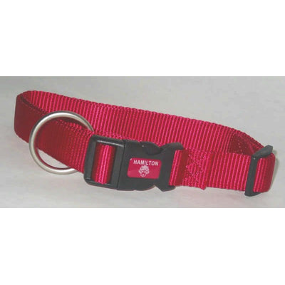 Adjustable Dog Collar