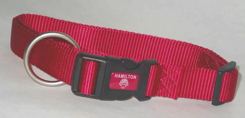Adjustable Dog Collar
