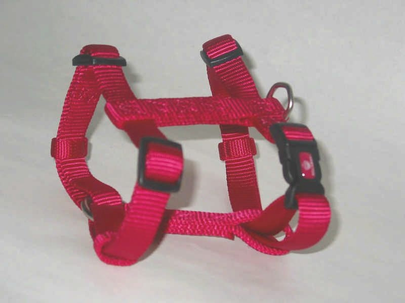 Adjustable Dog Harness