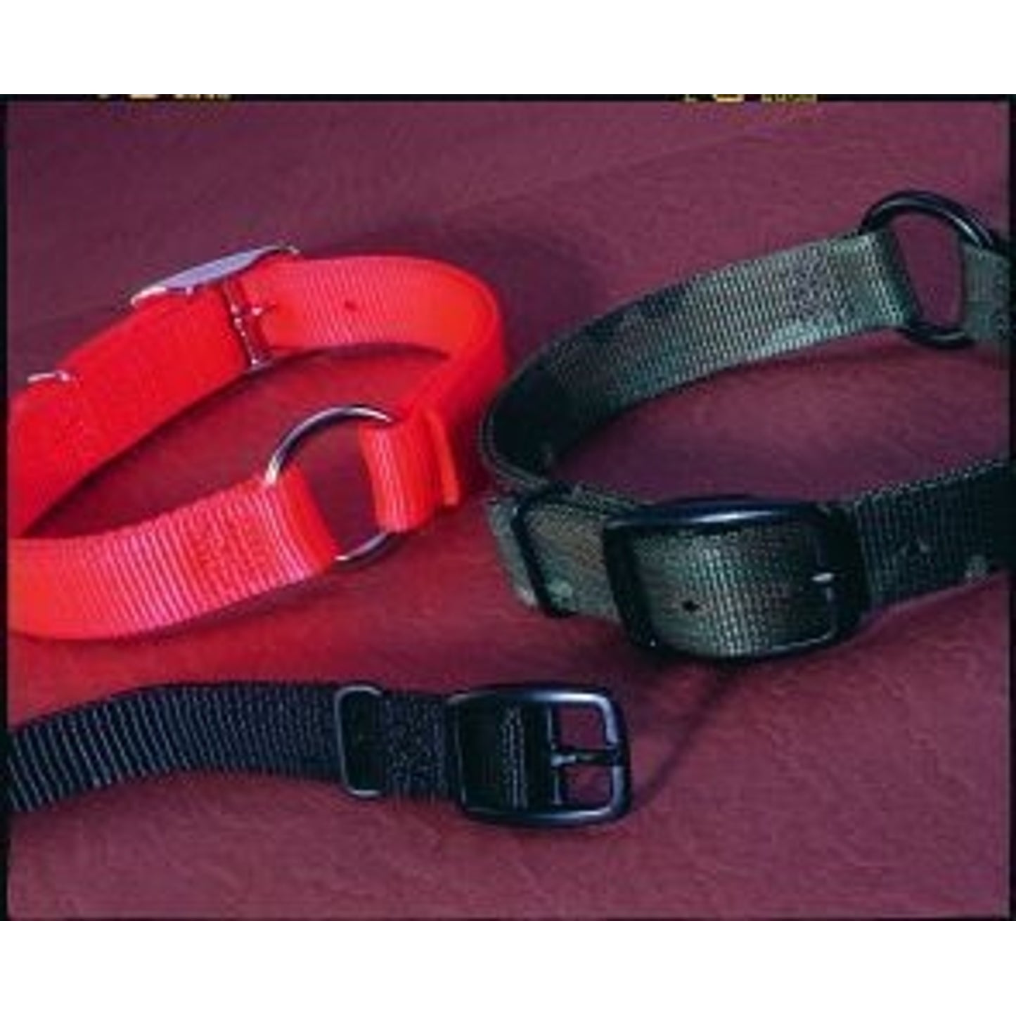 Safe-Rite Dog Collar With Tape