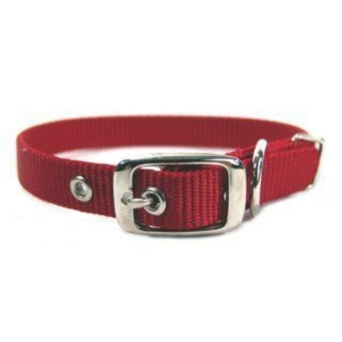 Single Thck Nyln Dlx Dg Collar