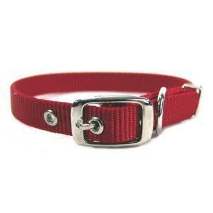Single Thck Nyln Dlx Dg Collar