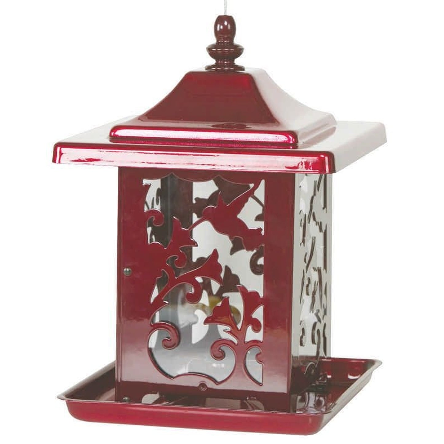 Hummingbird Seed Feeder