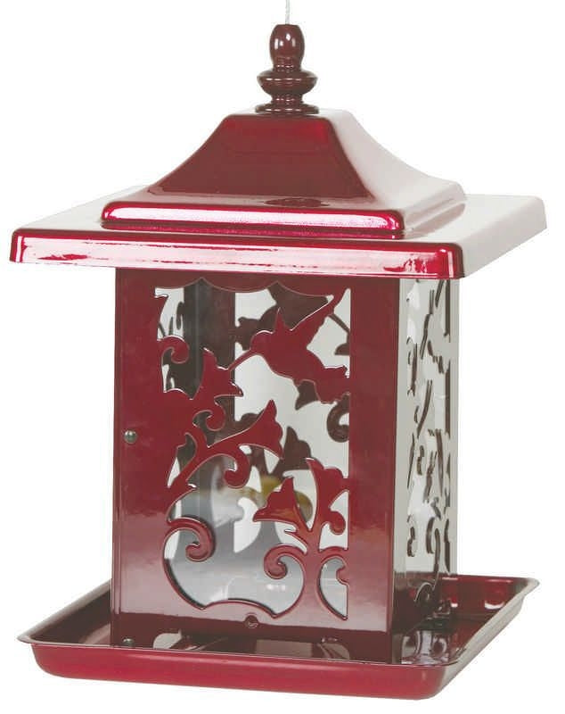 Hummingbird Seed Feeder