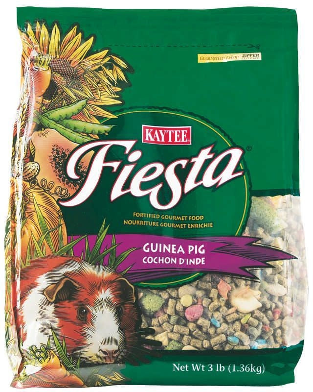 Fiesta Food Guinea Pig