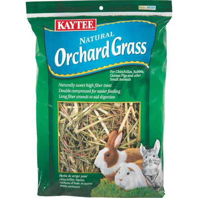 Orchard Grass