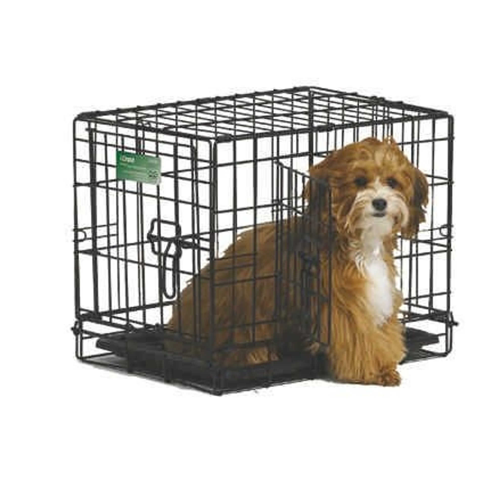 I-Crate for dogs Double Door