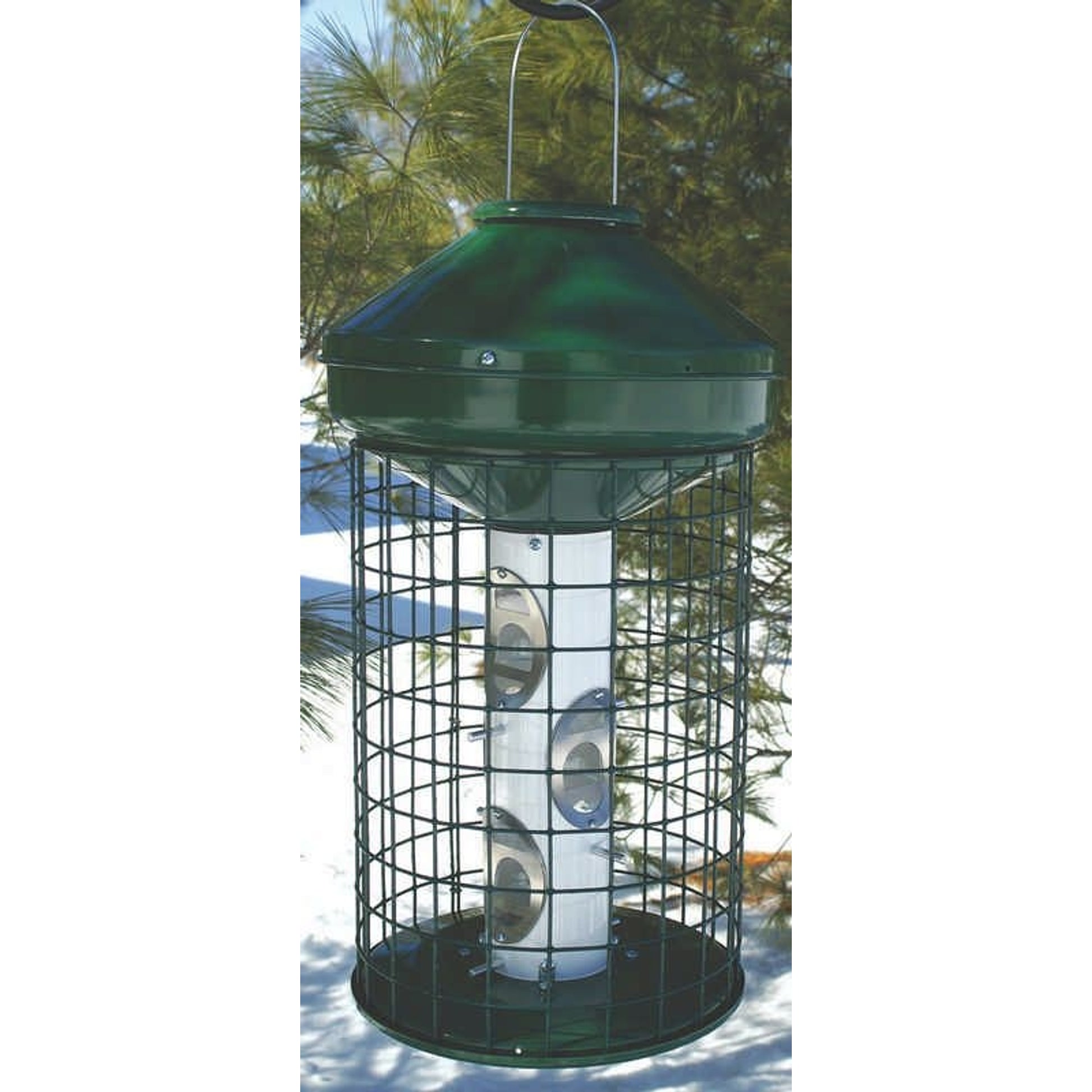 Avian Series Bird Feeder Mixed