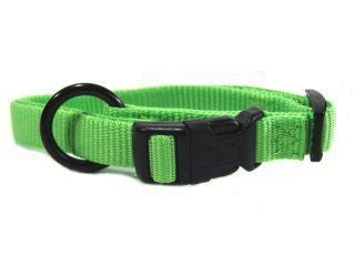 Hamilton Fits All Adjustable Nylon Dog Collar