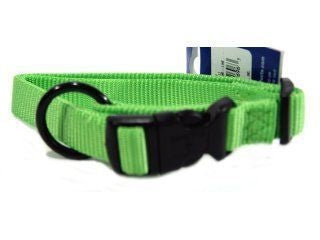 Hamilton Fits All Adjustable Nylon Dog Collar