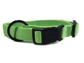 Hamilton Fits All Adjustable Nylon Dog Collar