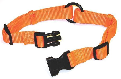 Hamilton Fits All Adjustable Nylon Dog Collar