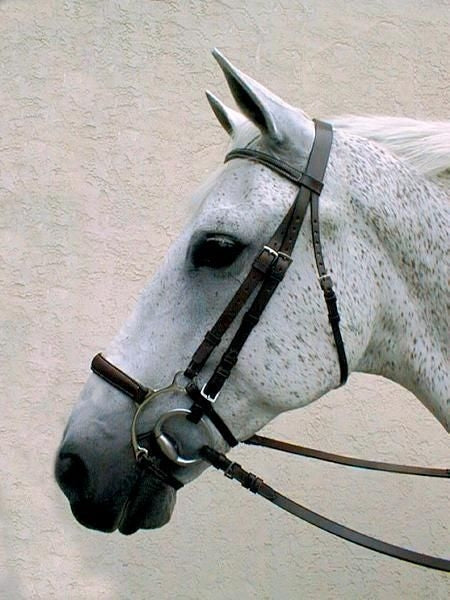 Nunn Finer Lever Noseband