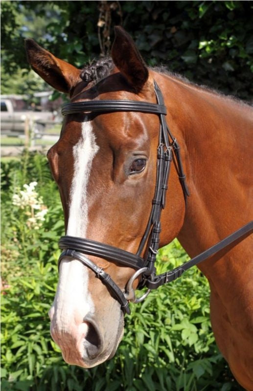 Nunn Finer Gifted Bridle
