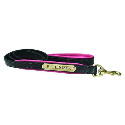 Perri's Padded Leather Dog Leash