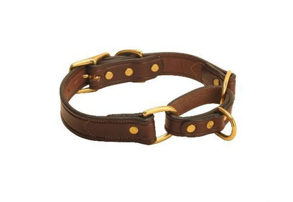 Tory Leather Martingale Leather Dog Collar