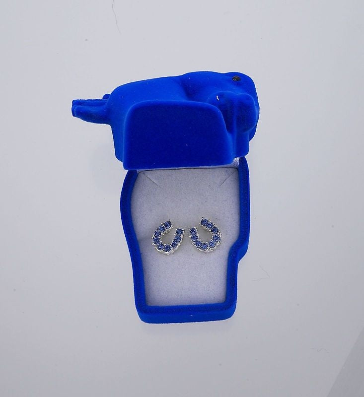 AWST Int'l Rhinestone Horseshoe Earrings with Horse Head Gift Box