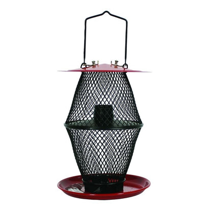 Sunflower Lantern Feeder With Tray