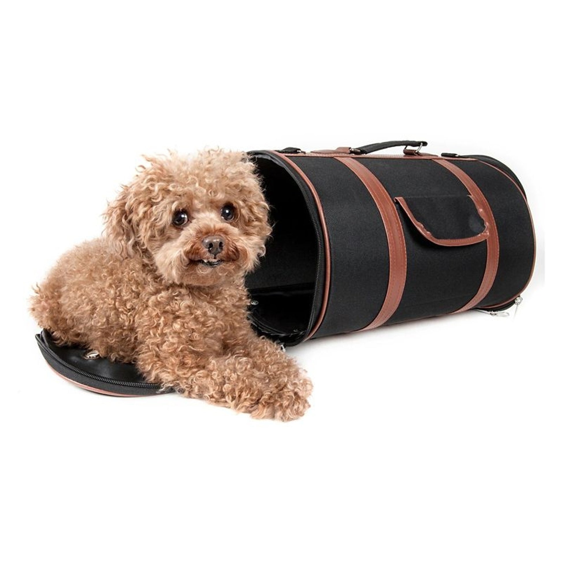 Pet Life Cylinder Posh Pet Carrier