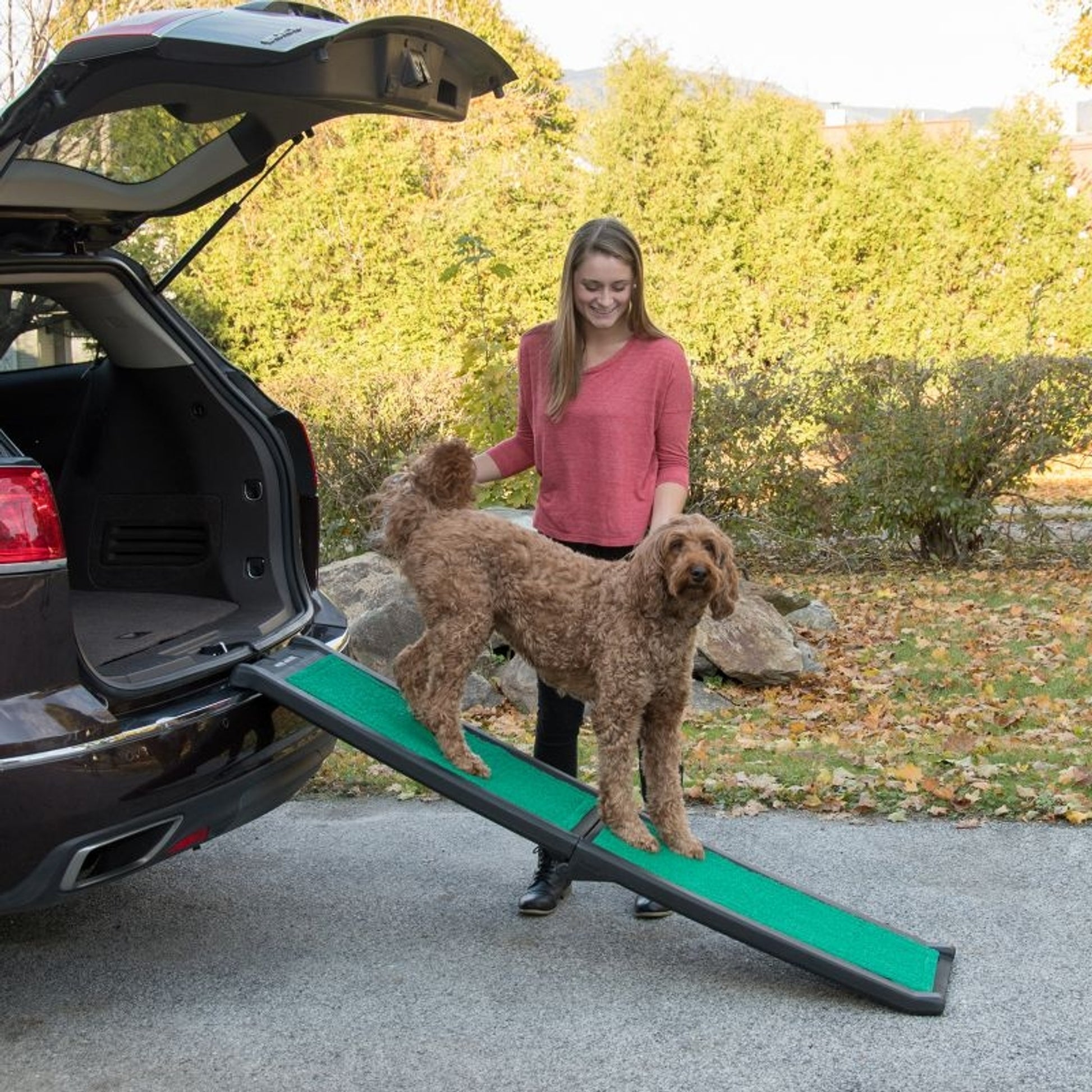 Pet Gear Bi Fold Pet Ramp