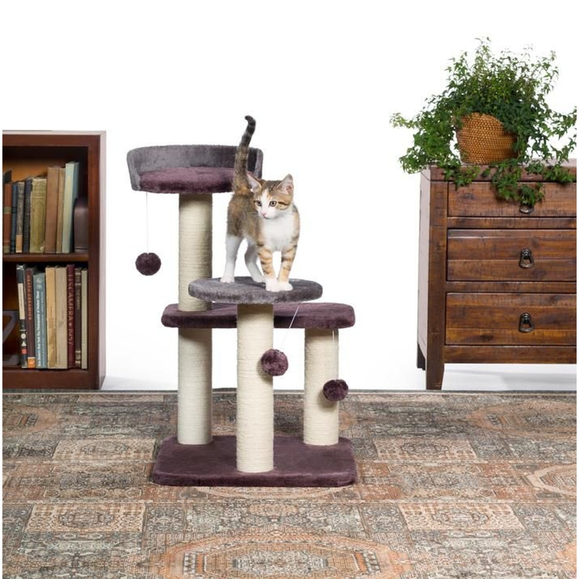 Kitty Power Paws Play Palace