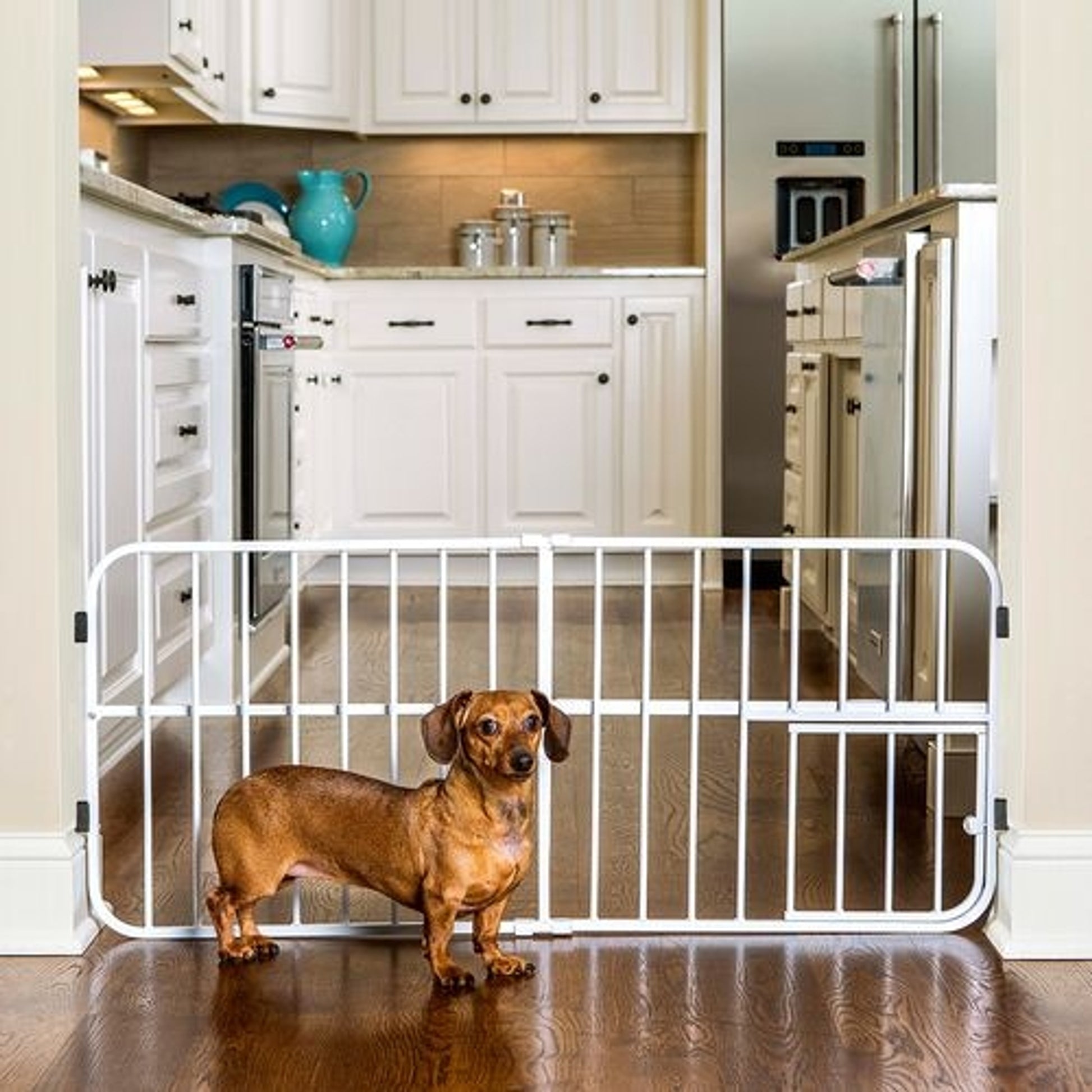 Carlson Lil Tuffy Expandable Pet Gate