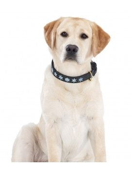 Halo Embroidered Snowflake Dog Collar