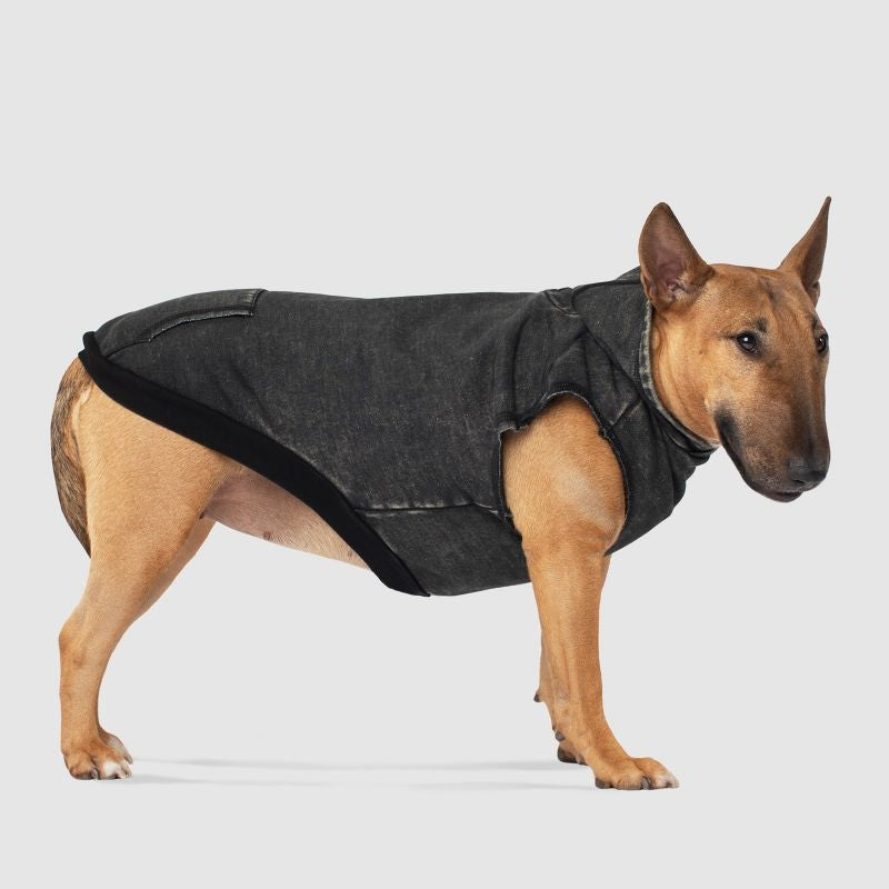 Canada Pooch Grey No Authority Dog Hoodie 14