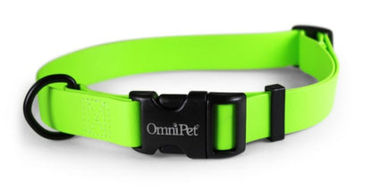 Carnival Waterproof Dog Collar