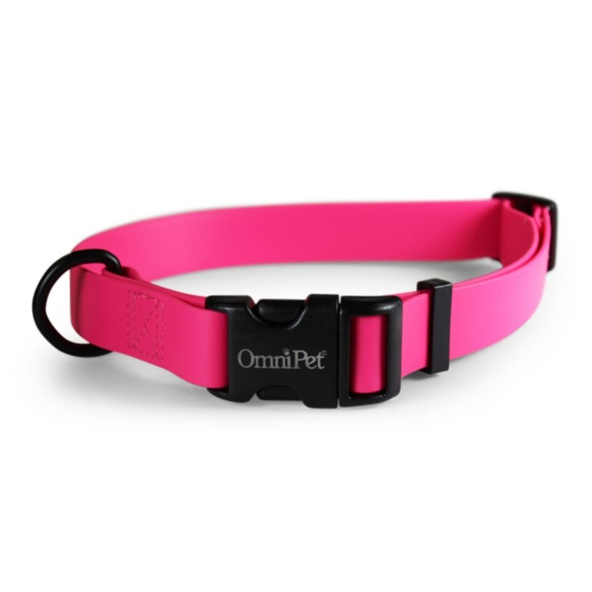Carnival Waterproof Dog Collar