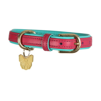 Shires Digby & Fox Padded Leather Dog Collar