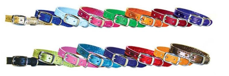 Pocket Pups Leather Collar