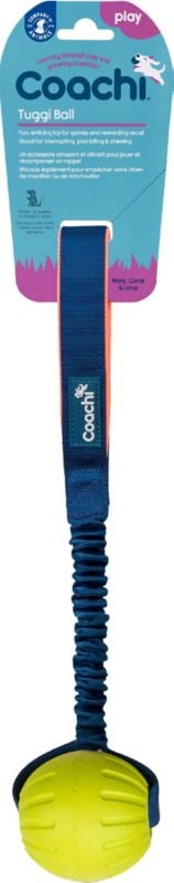 COACHI TUGGI ELASTIC BALL SUPER TOUGH TUG TOY
