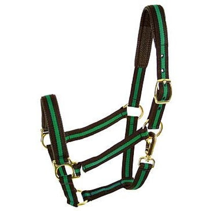 Comfort Padded Halter with Snap