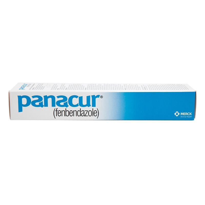 Panacur Paste Equine Dewormer